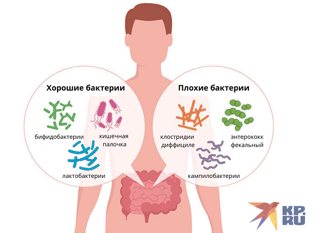 Анализ микробиоты