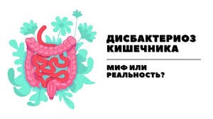 Микрофлора кишечника